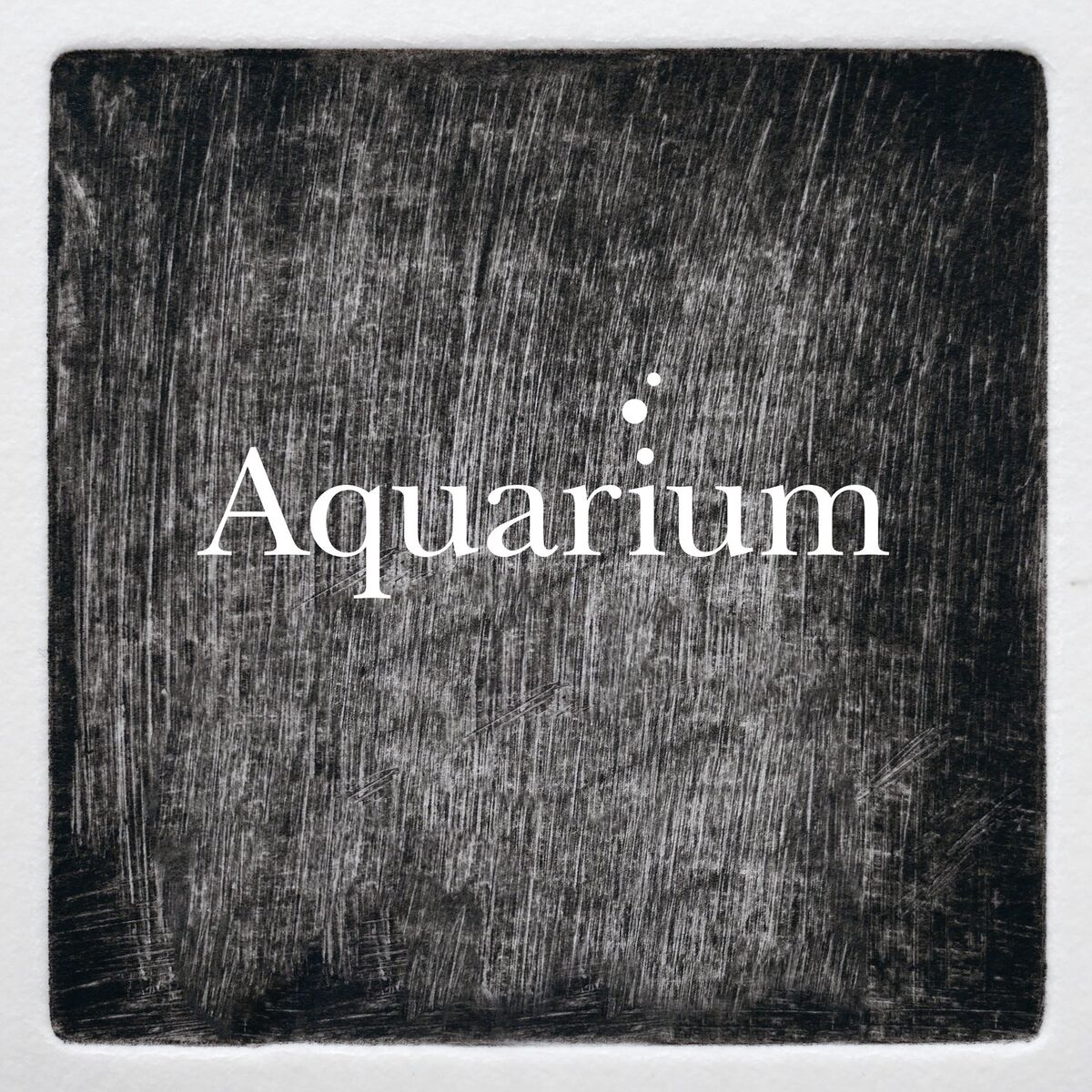 Album cover of Le Carnaval des Animaux: VII. Aquarium
