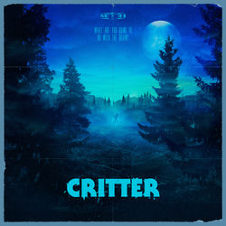 Pochette album