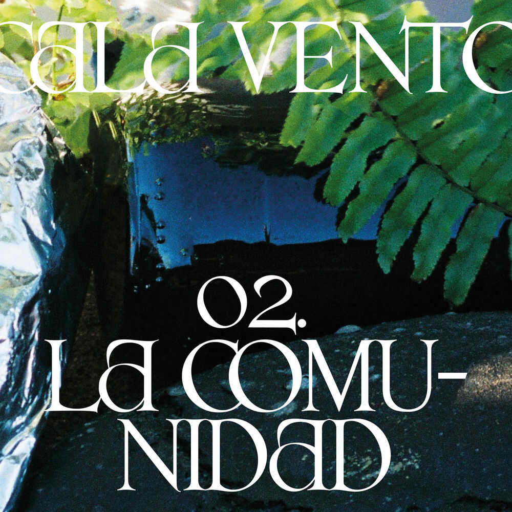 Picture of La comunidad