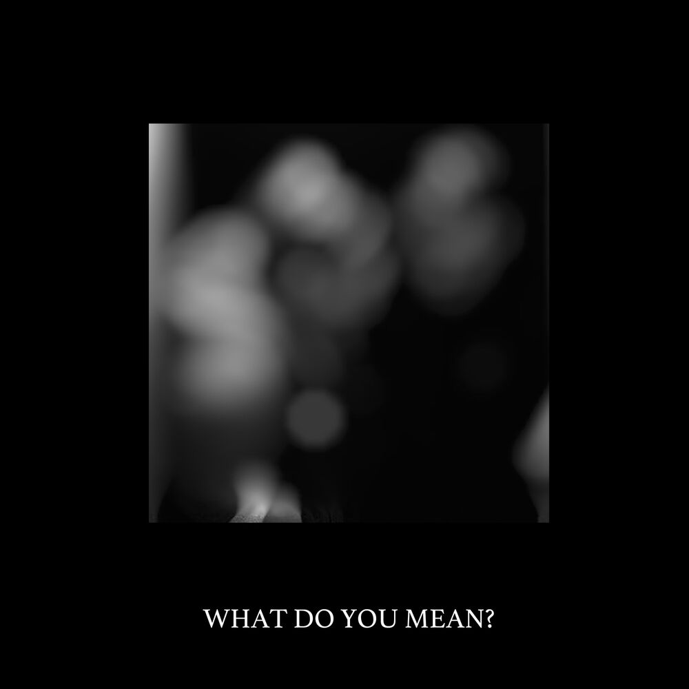 Picture of What Do You Mean?