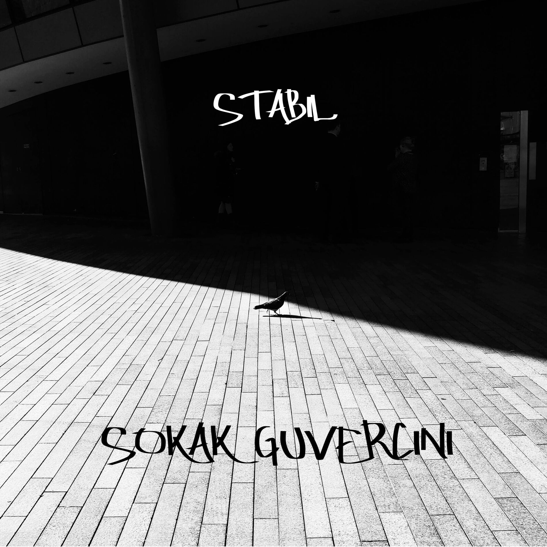 Album cover of Sokak Güvercini
