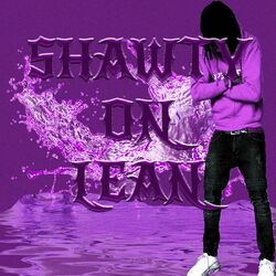 Cover of Shawty On Lean