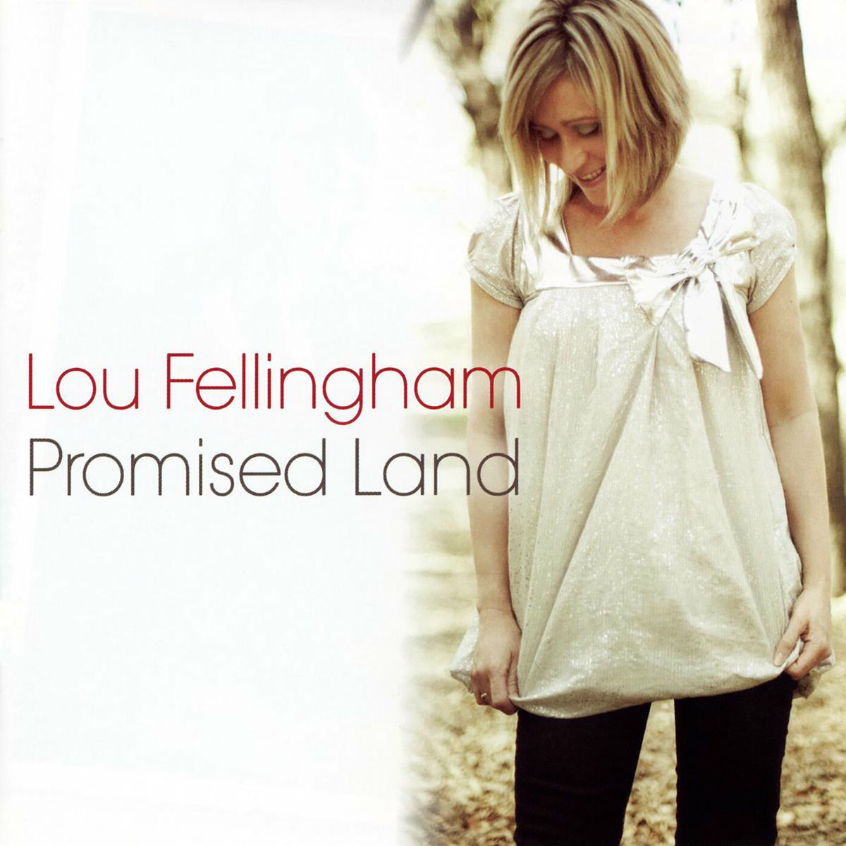 Album cover of Promised Land