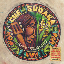 Cover of Almas Rebeldes