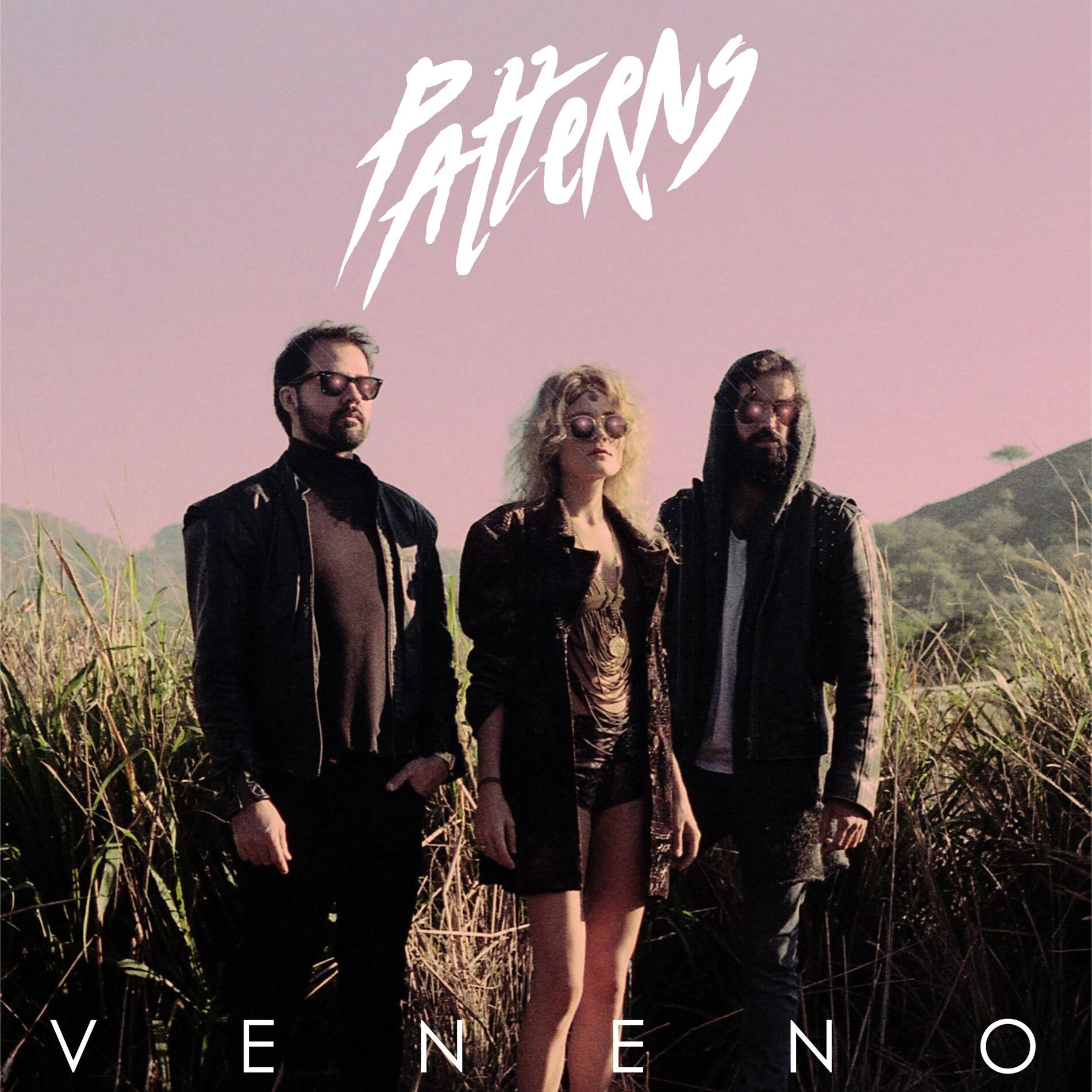 Album cover of Veneno