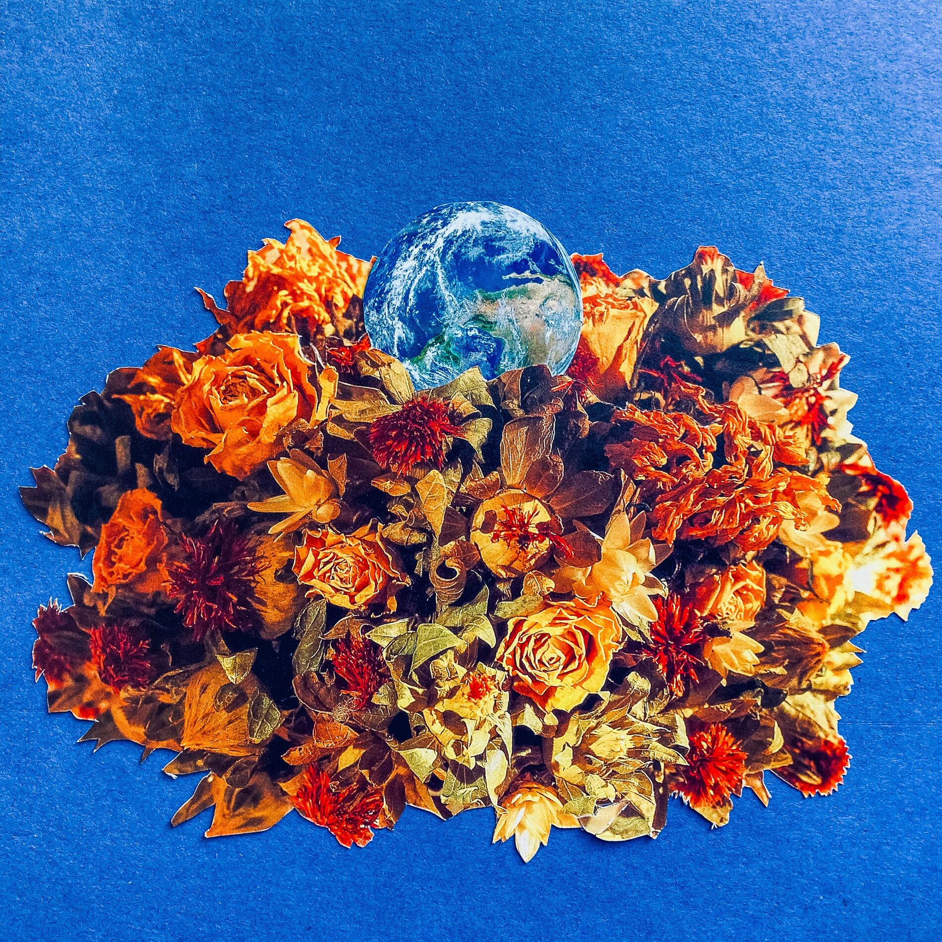Album cover of Hora