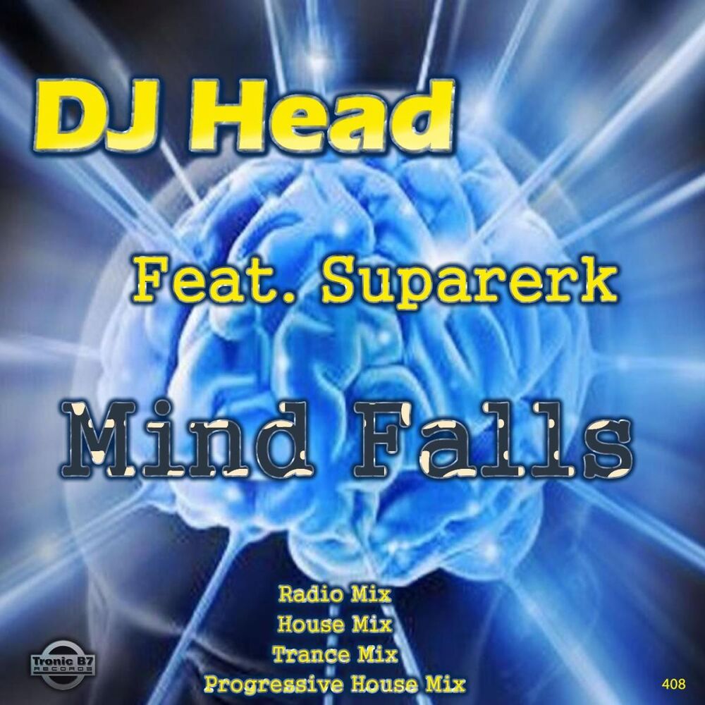 Picture of Mind Falls