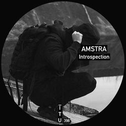 Cover of Introspection