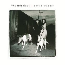 Cover of Days Like This