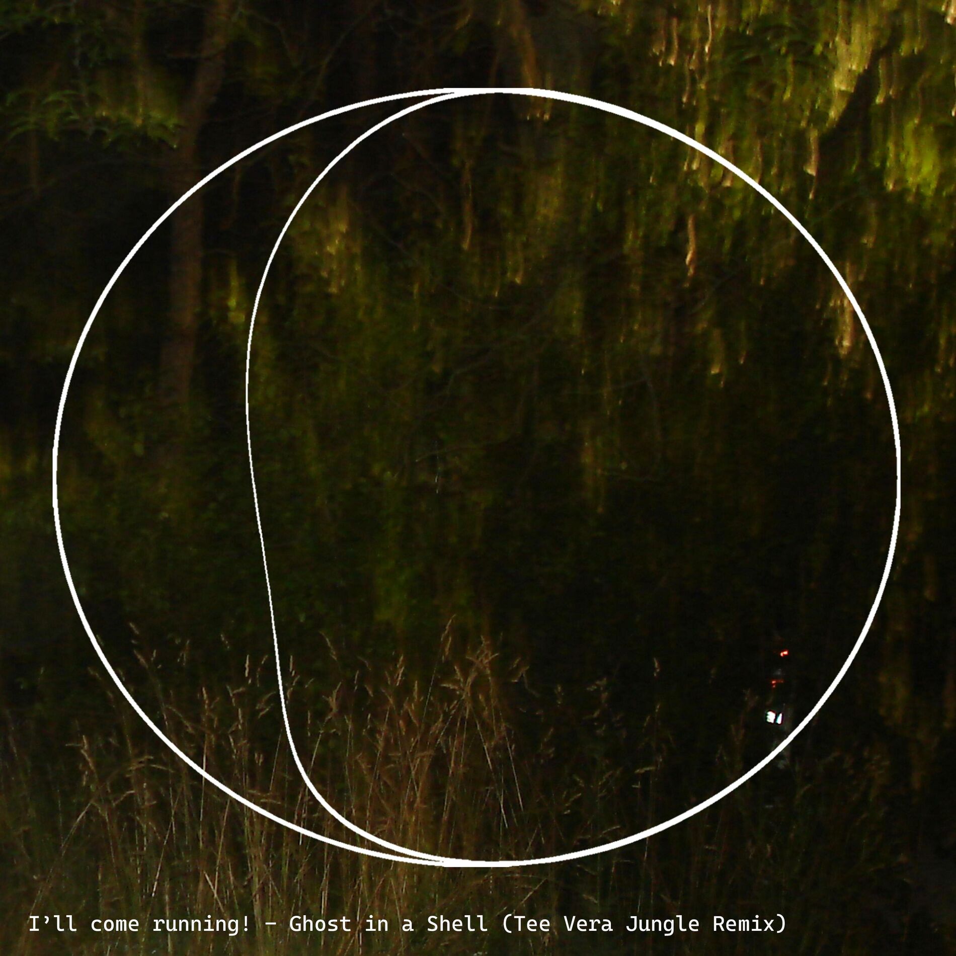 Album cover of Ghost in a Shell (Tee Vera Jungle Remix)