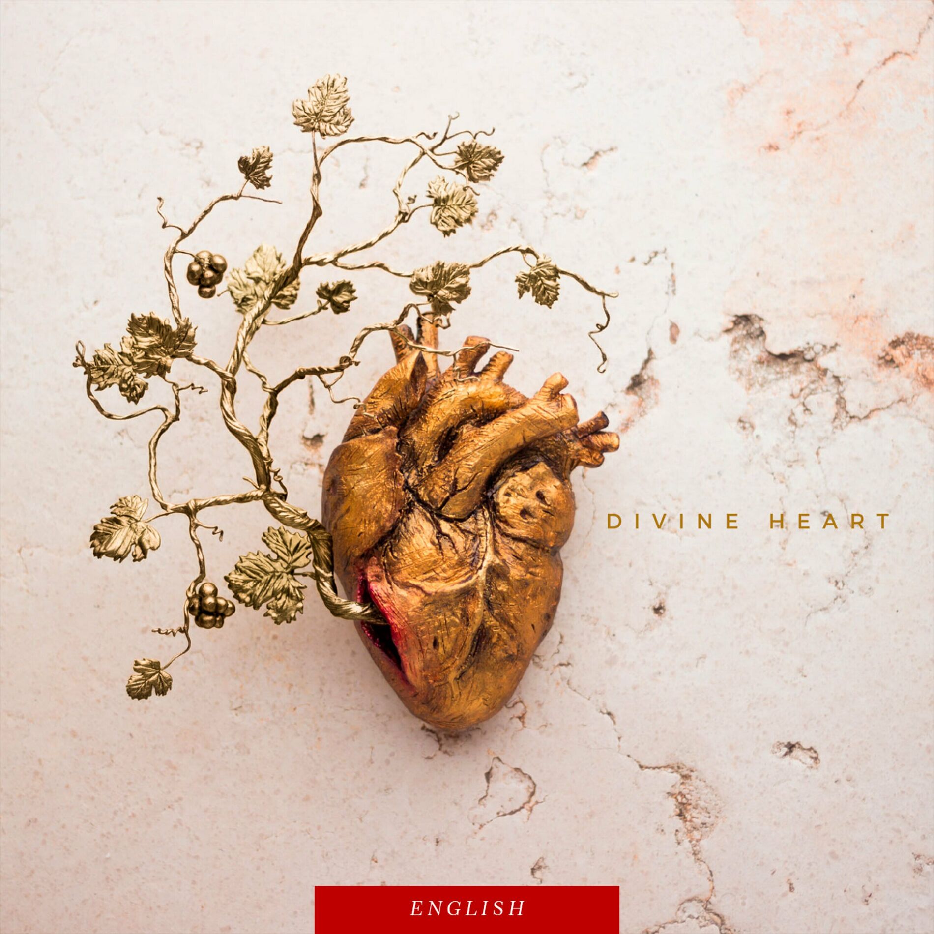 Album cover of Divine Heart