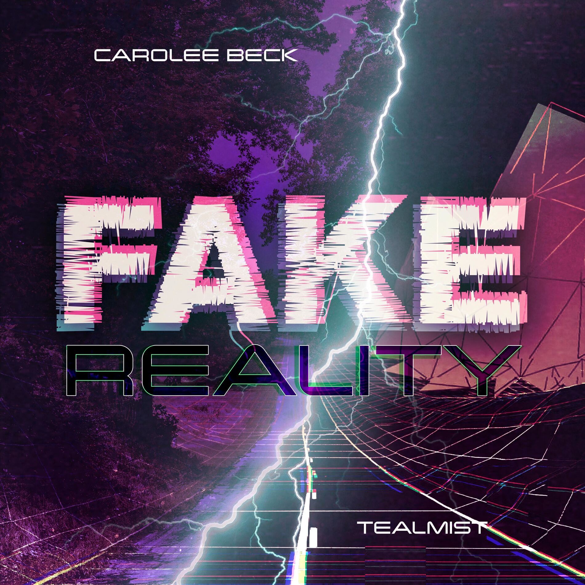 Album cover of Fake Reality