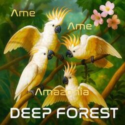 music cover