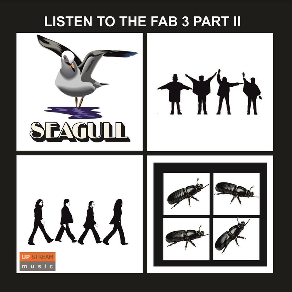 Album artwork for Imagine by Seagull