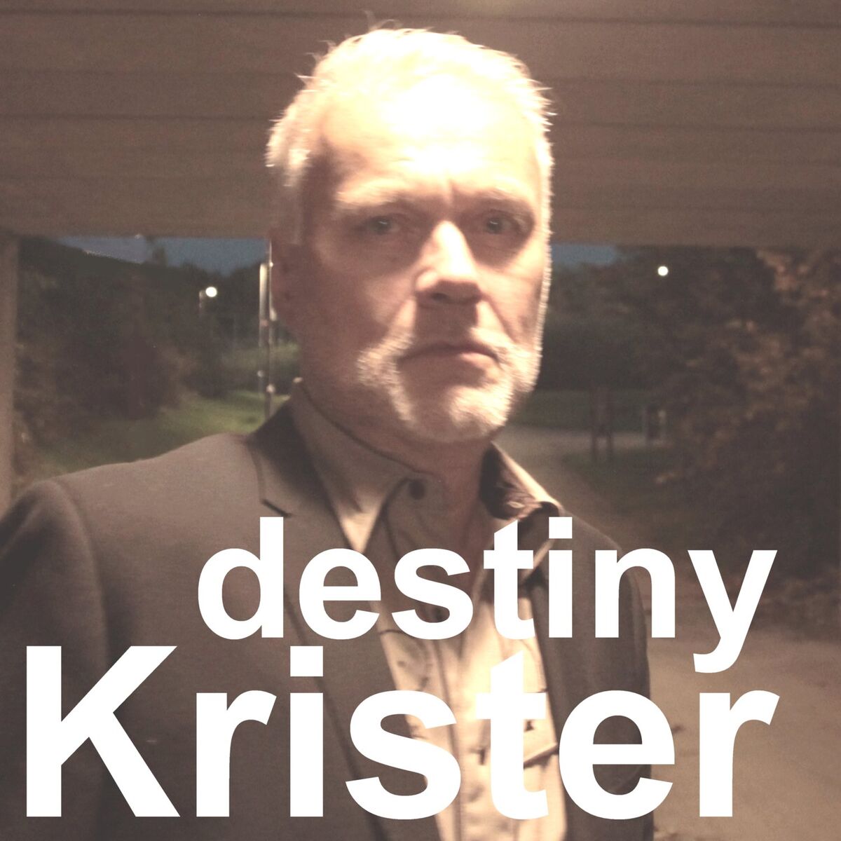 Album cover of Destiny (Glimmer Edition)