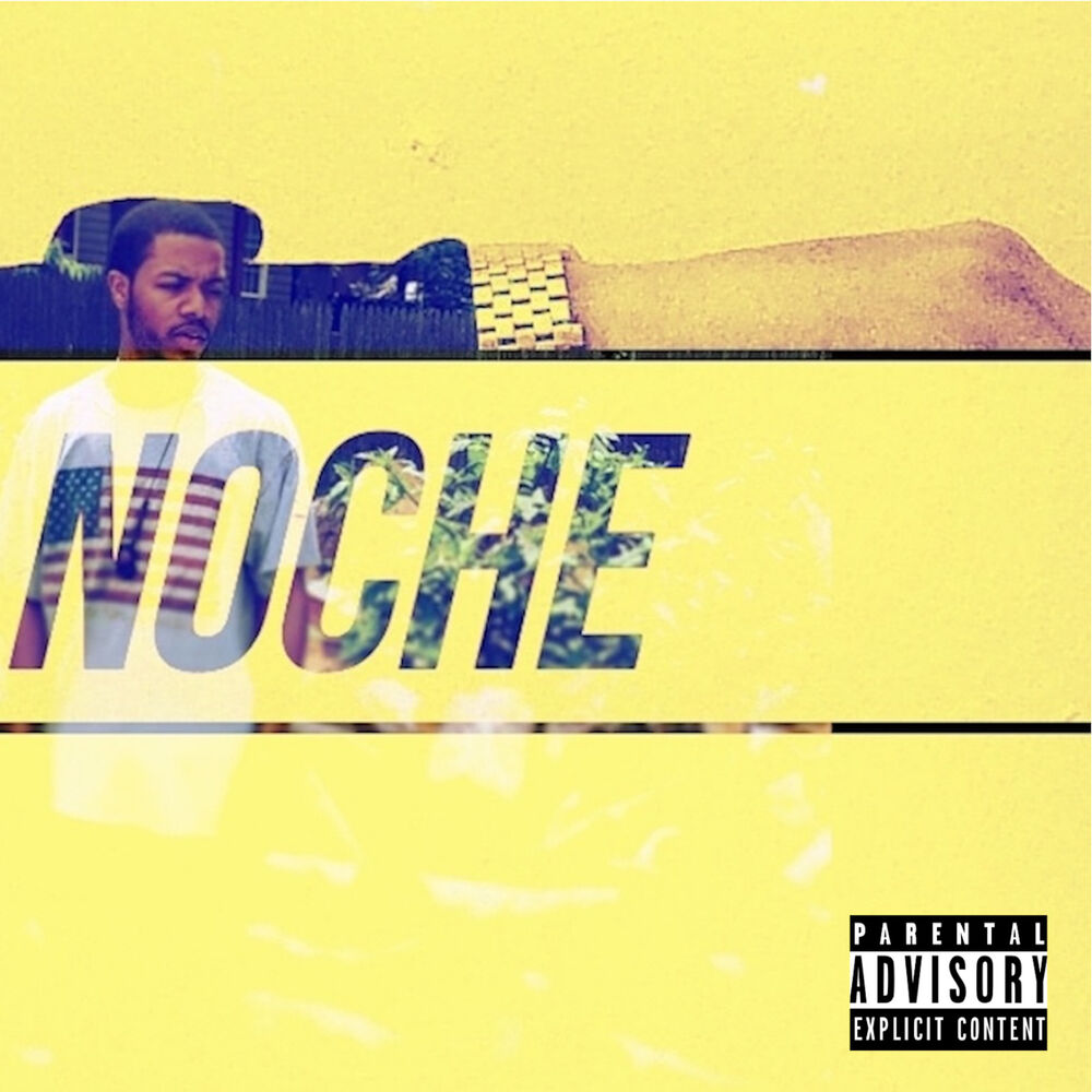 Picture of Noche