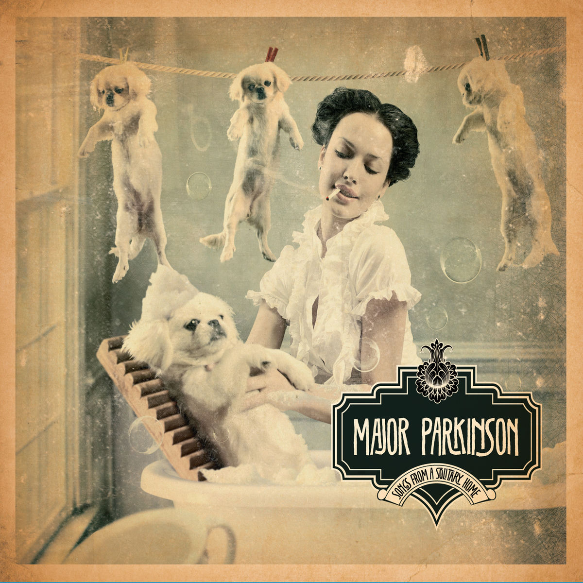 Album cover of Songs from a Solitary Home