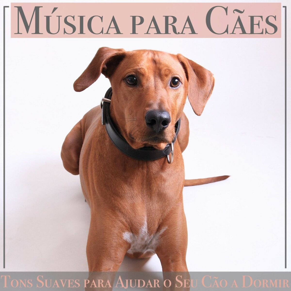 Album cover of Brisa Dos Himalaias