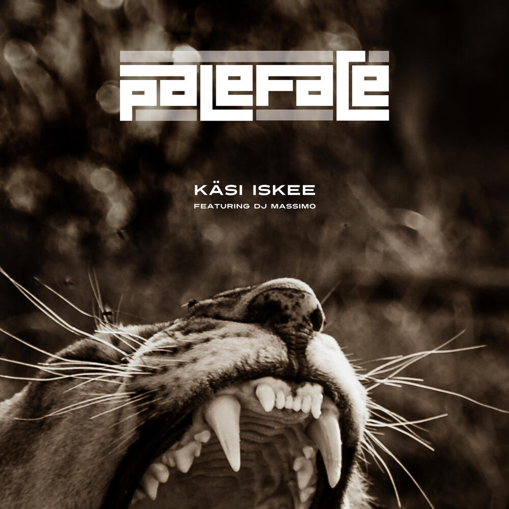 Picture of Käsi iskee (feat. DJ Massimo)
