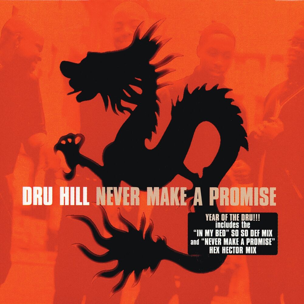 Picture of Never Make A Promise