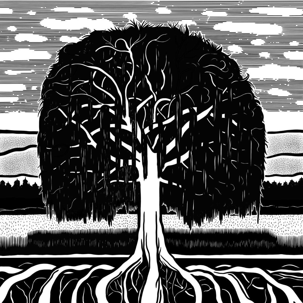Album cover of The Willow Tree