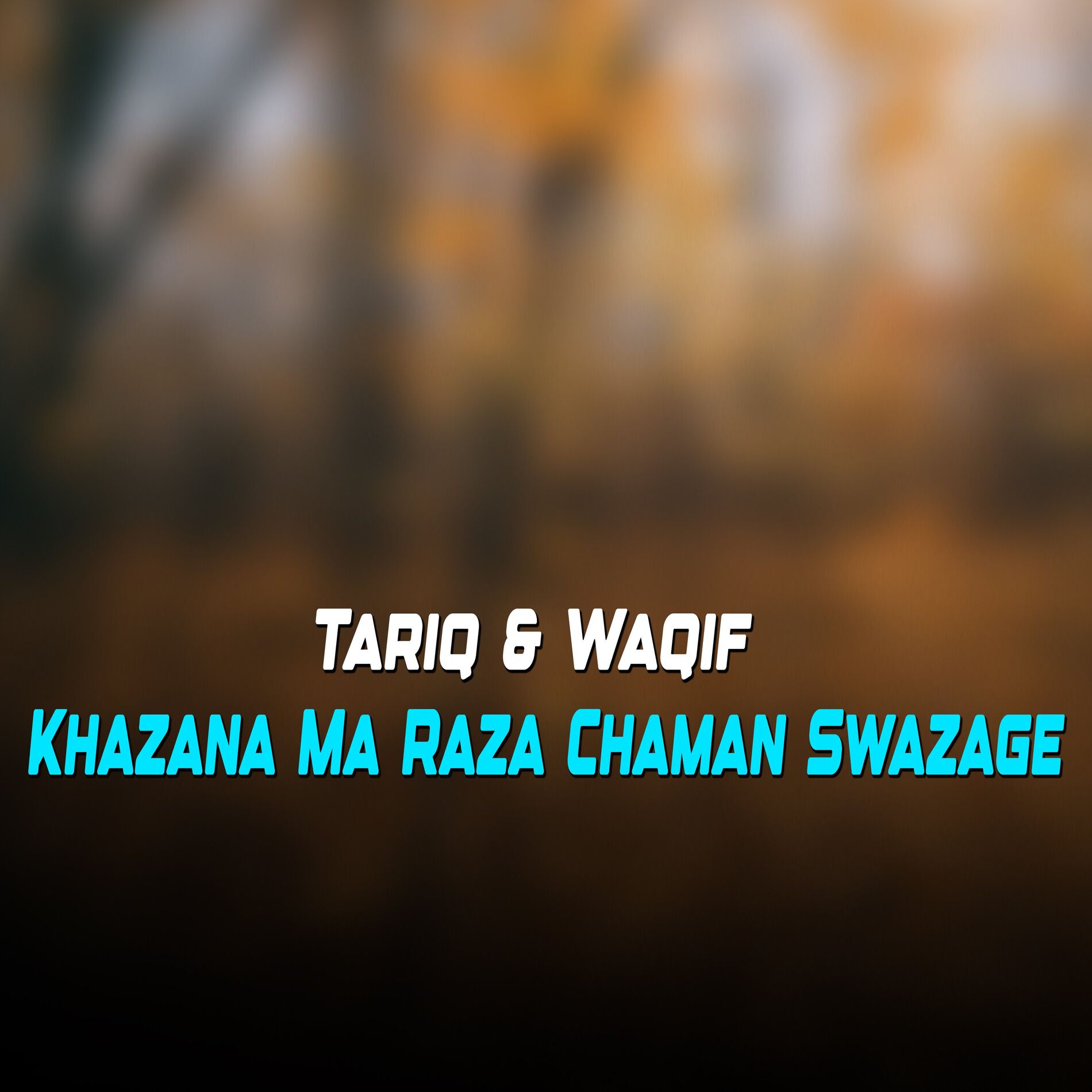 Album cover of Khazana Ma Raza Chaman Swazage