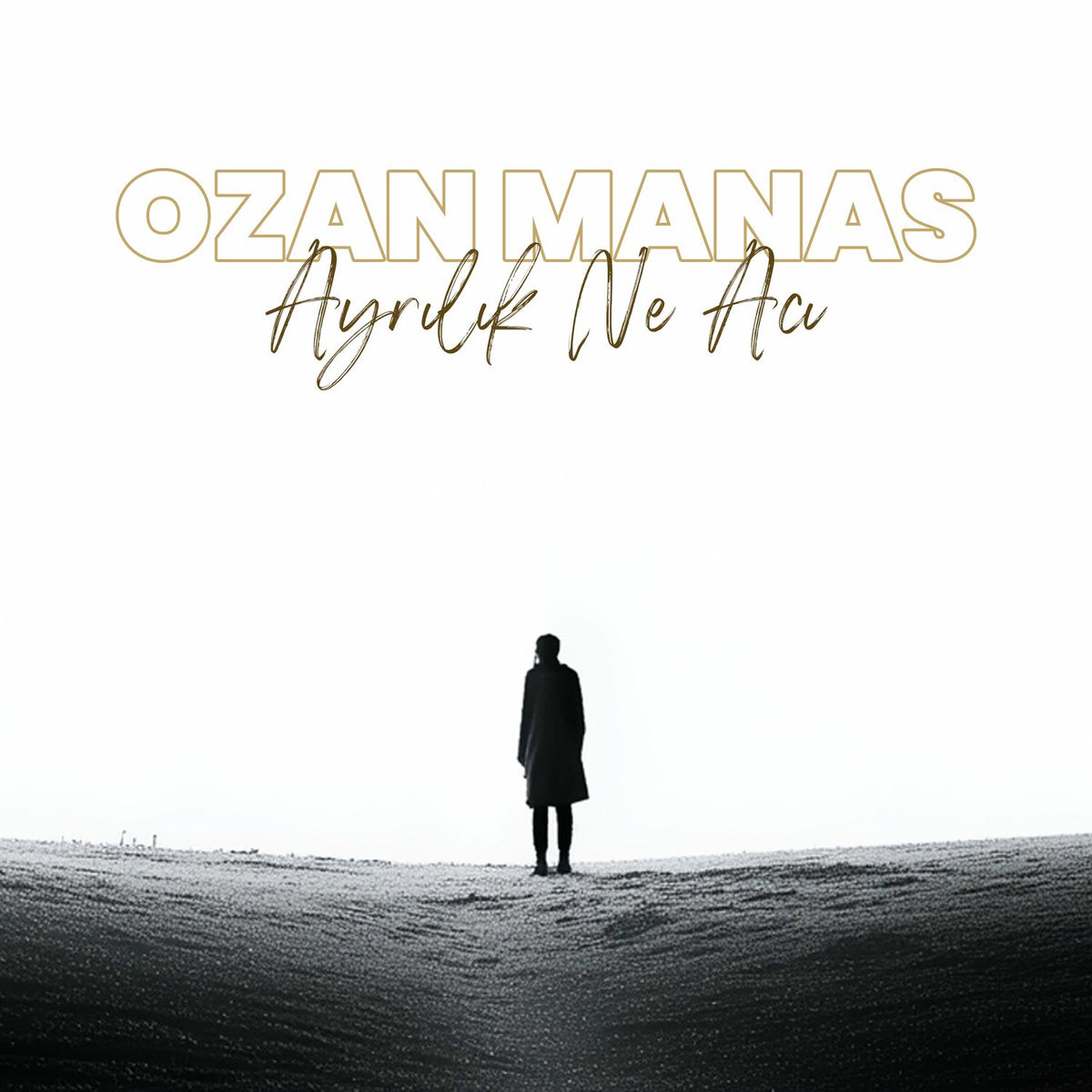 Album cover of Ayrılık Ne Acı