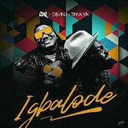 Cover of Igbalode