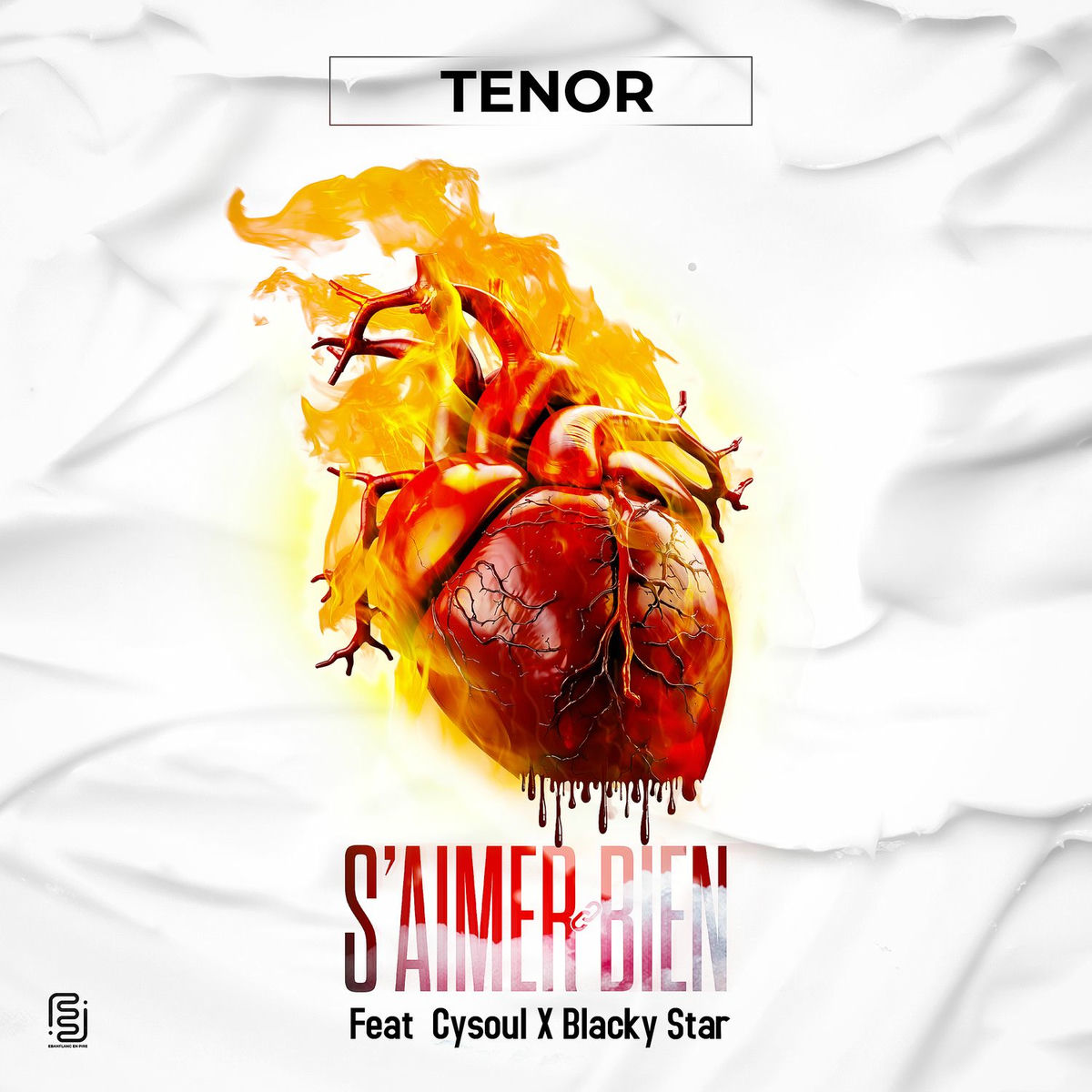 Album cover of S’Aimer Bien