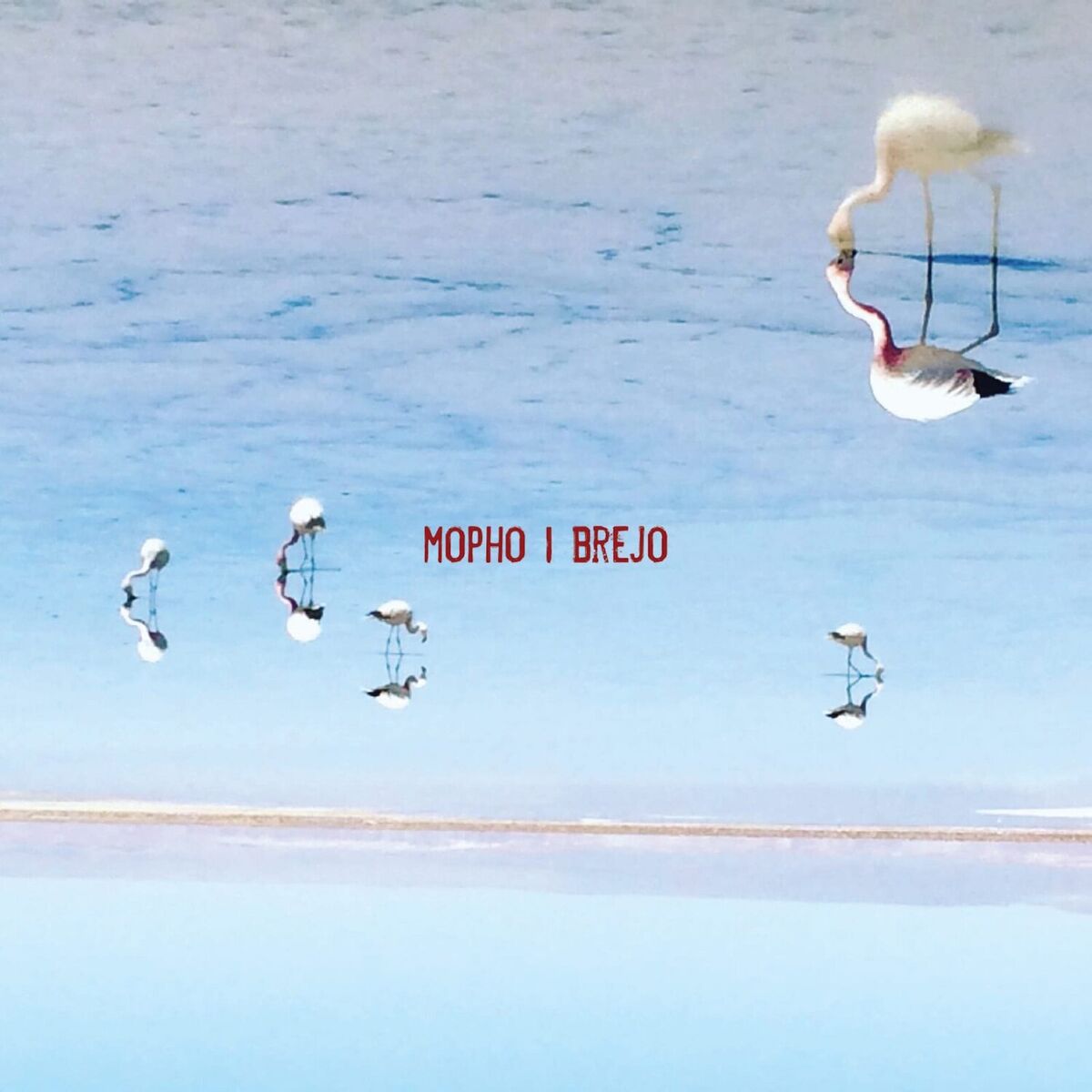 Album cover of Brejo