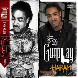 Cover of The Plug & Haram (Special Edition)