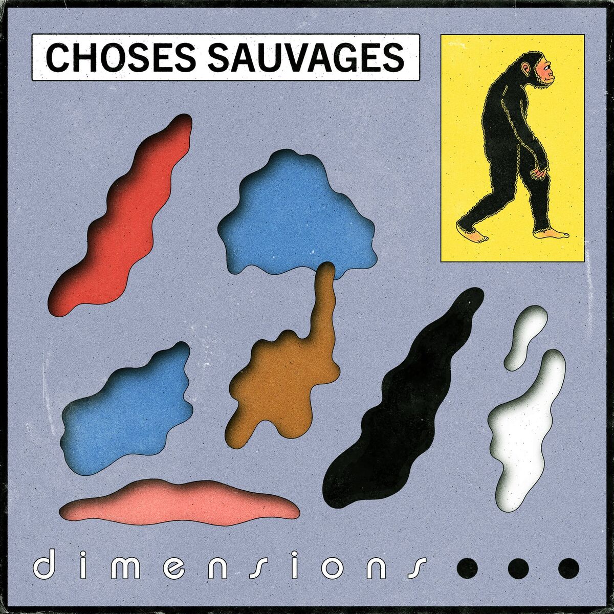 Album cover of Dimensions