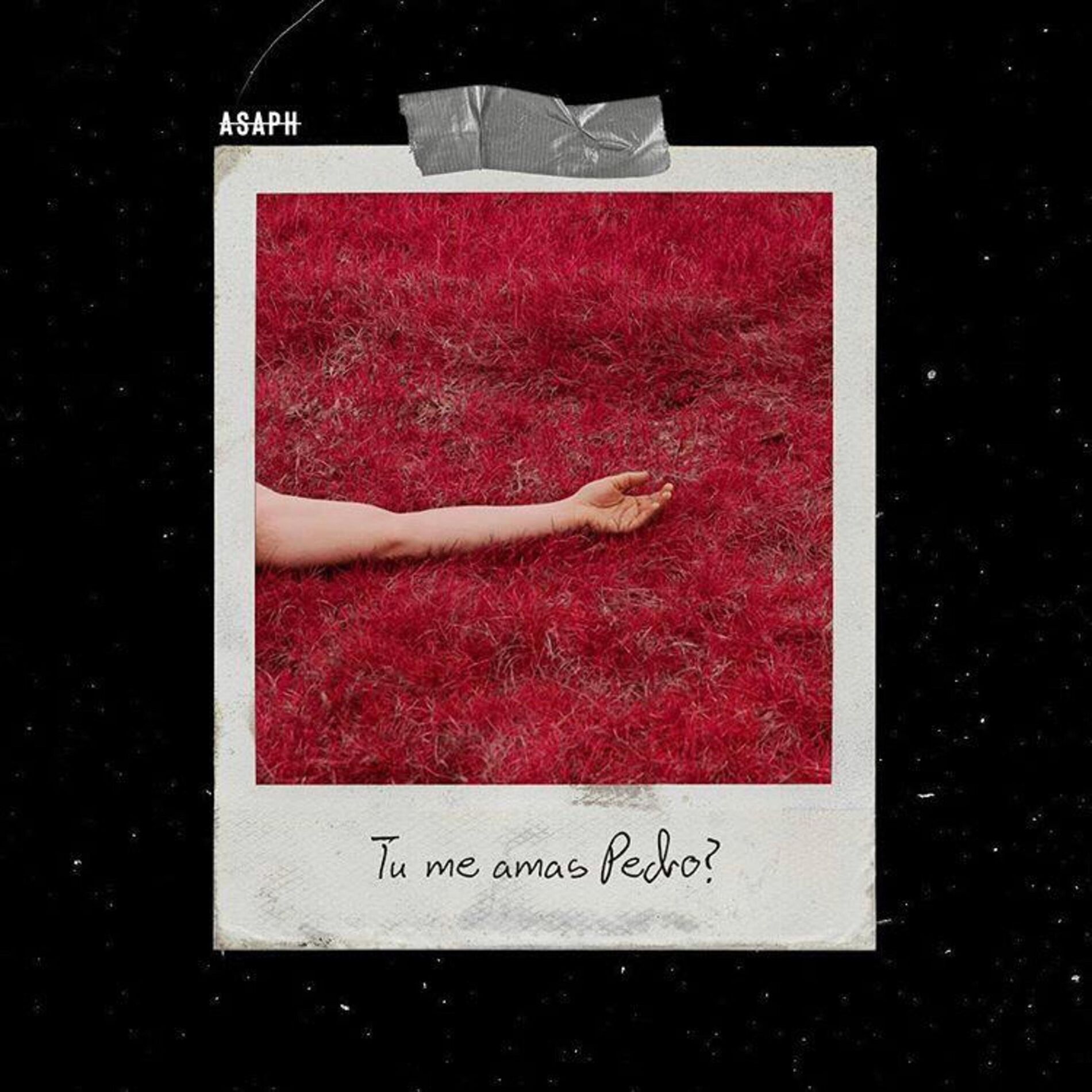 Album cover of Tu Me Amas Pedro?