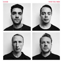 Cover of What You Need