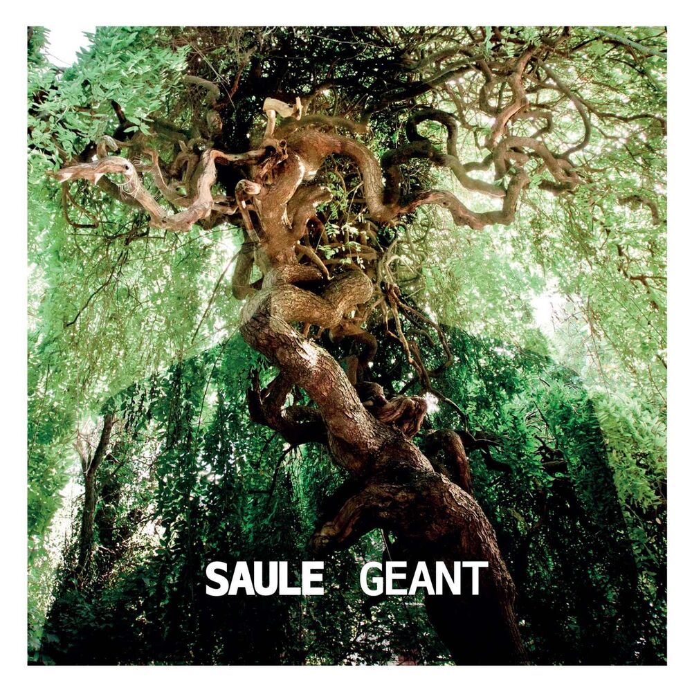 Picture of Géant