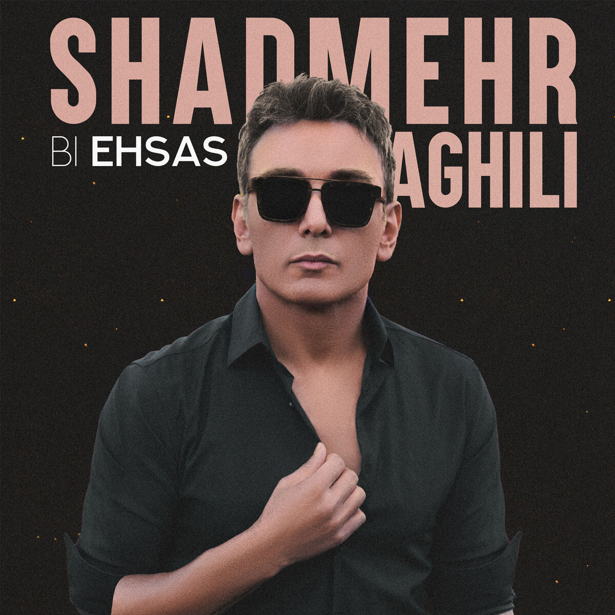 Album cover of Bi Ehsas