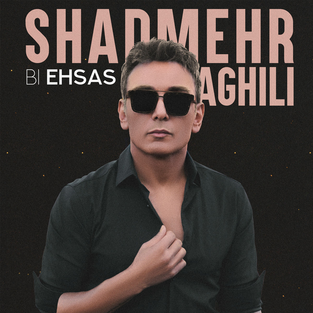 Album cover of Bi Ehsas