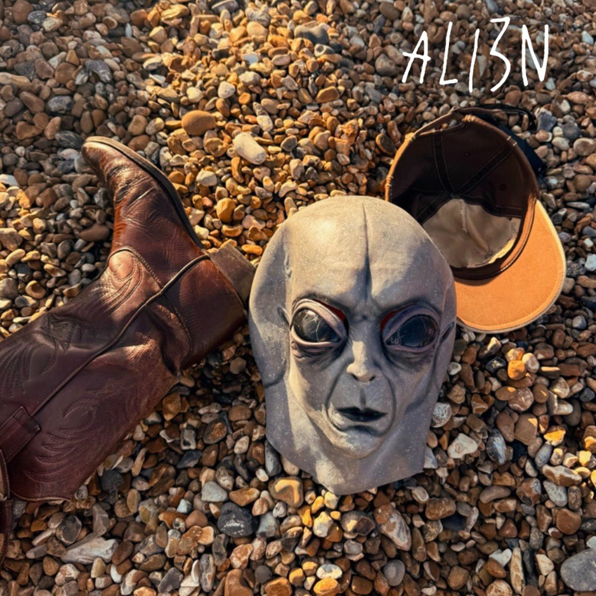 Album cover of Ali3n
