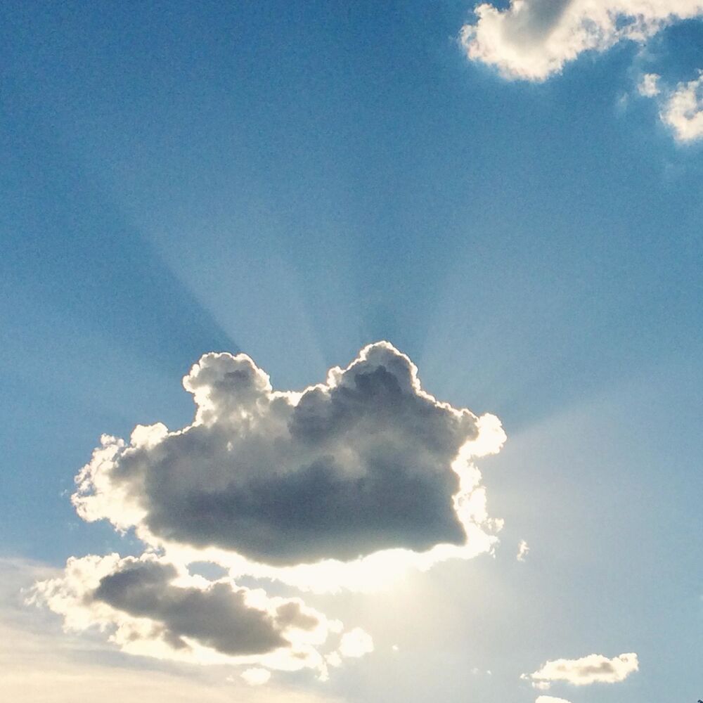 Picture of Soar