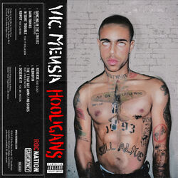 Cover of HOOLIGANS