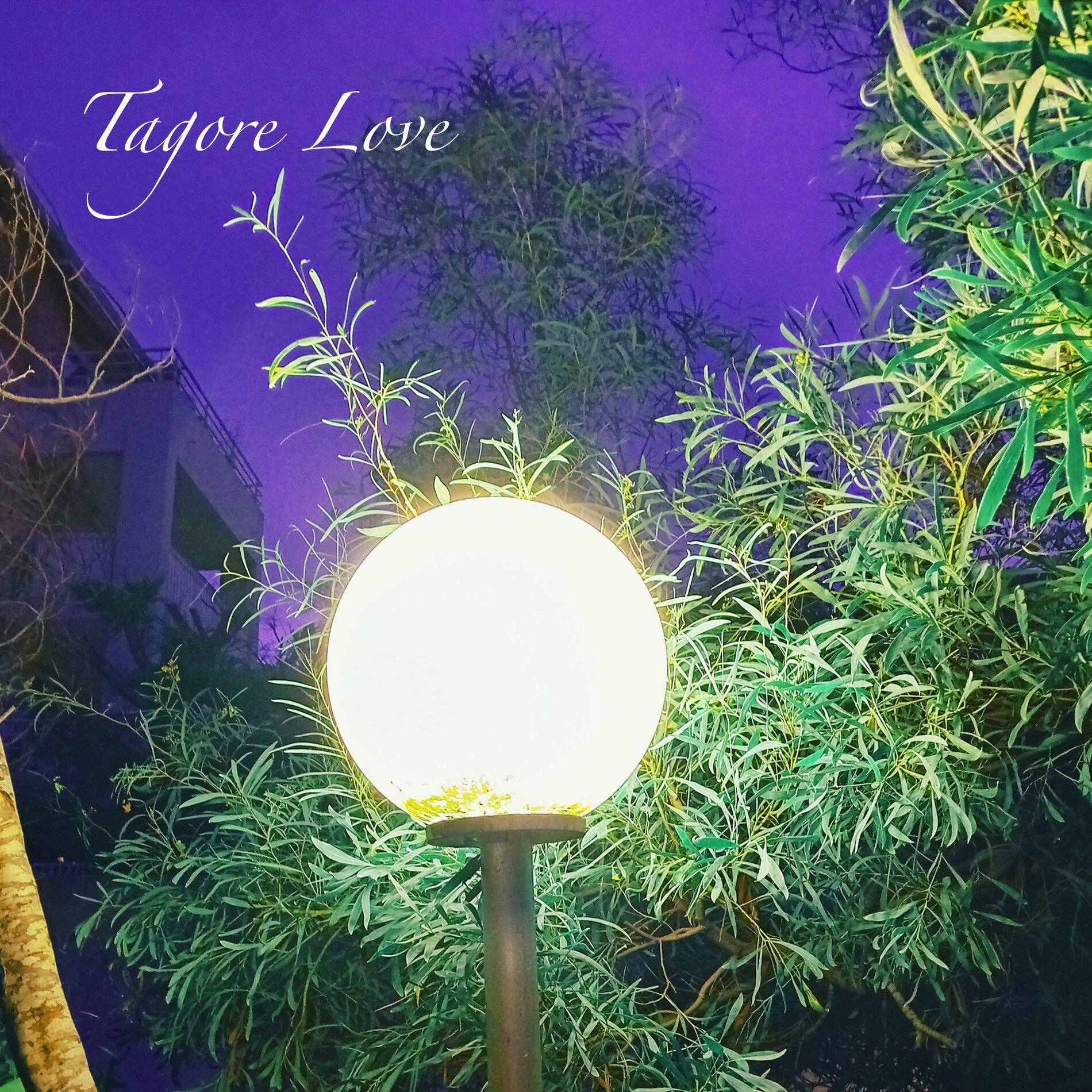 Album cover of Love