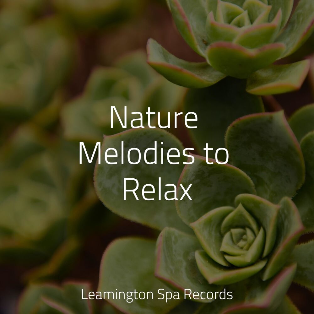 Picture of Nature Melodies to Relax