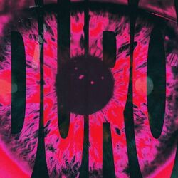 Cover of DURO