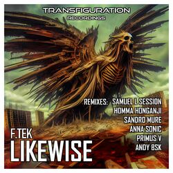 Cover of Likewise