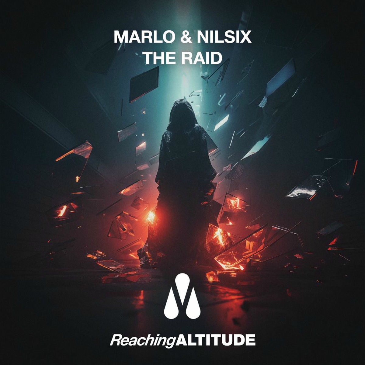 Album cover of The Raid