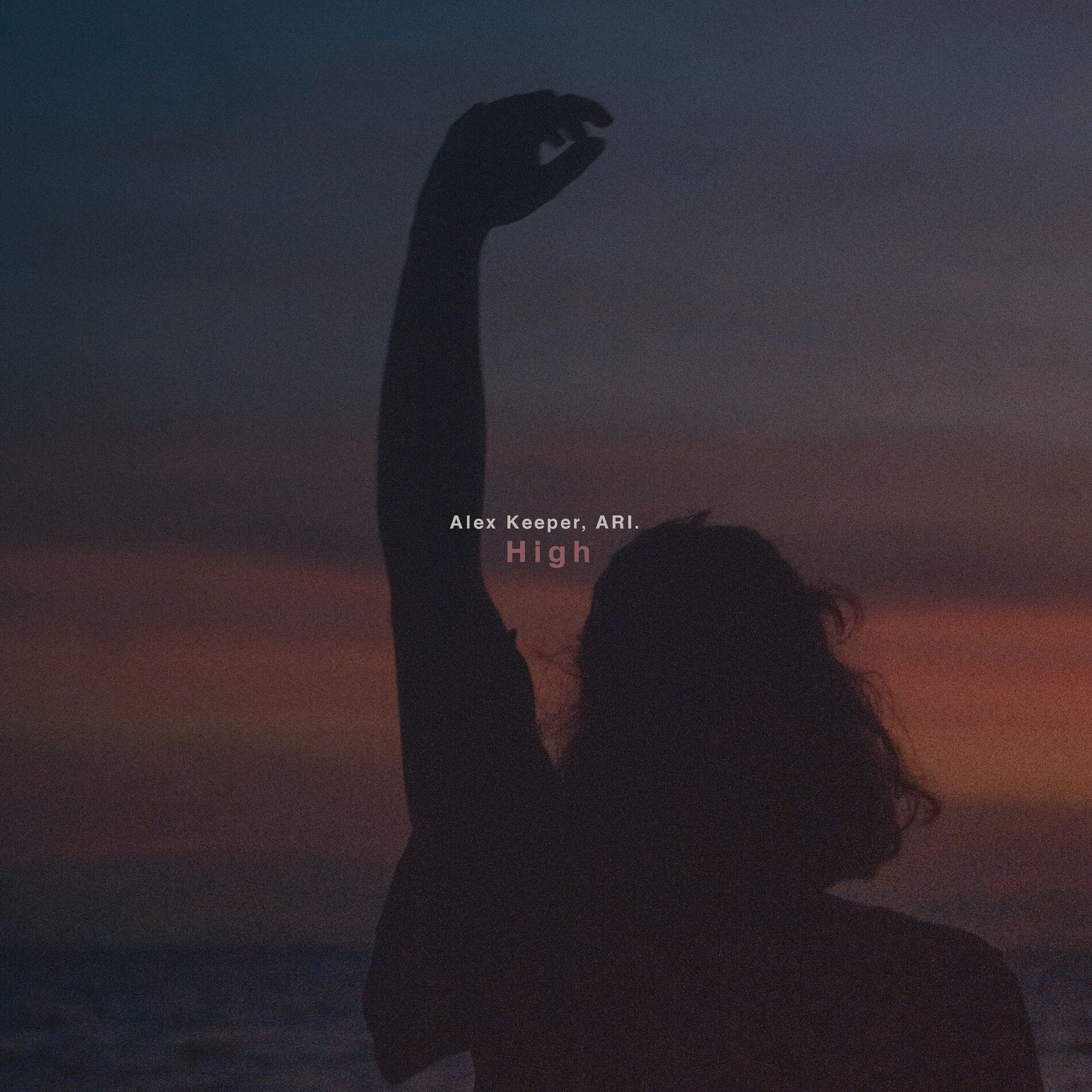 Album cover of High
