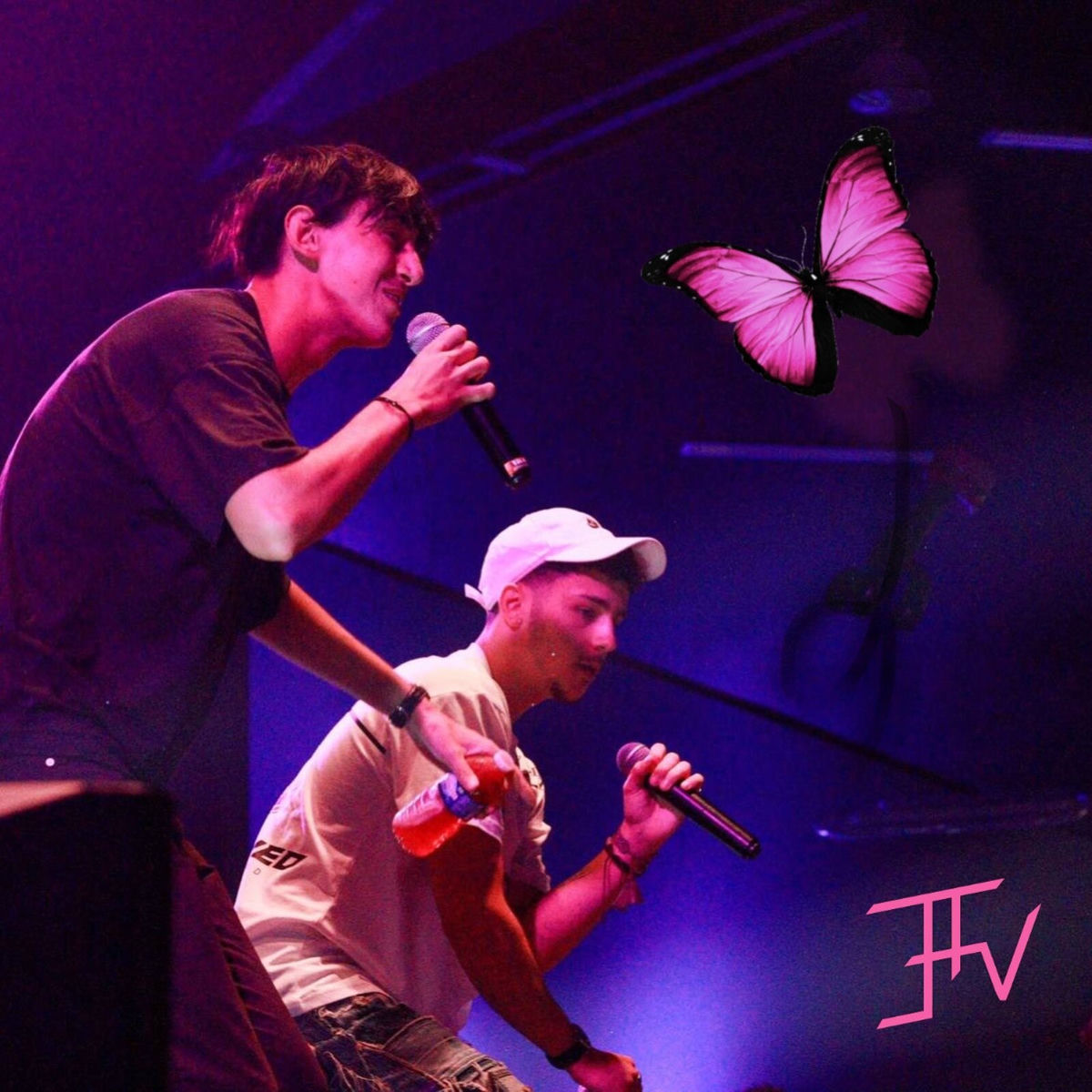 Album cover of Fly