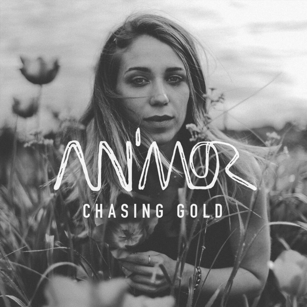 Picture of Chasing Gold