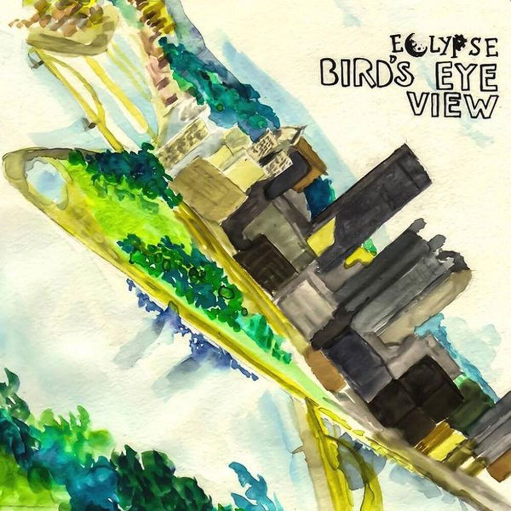 Picture of Bird's Eye View