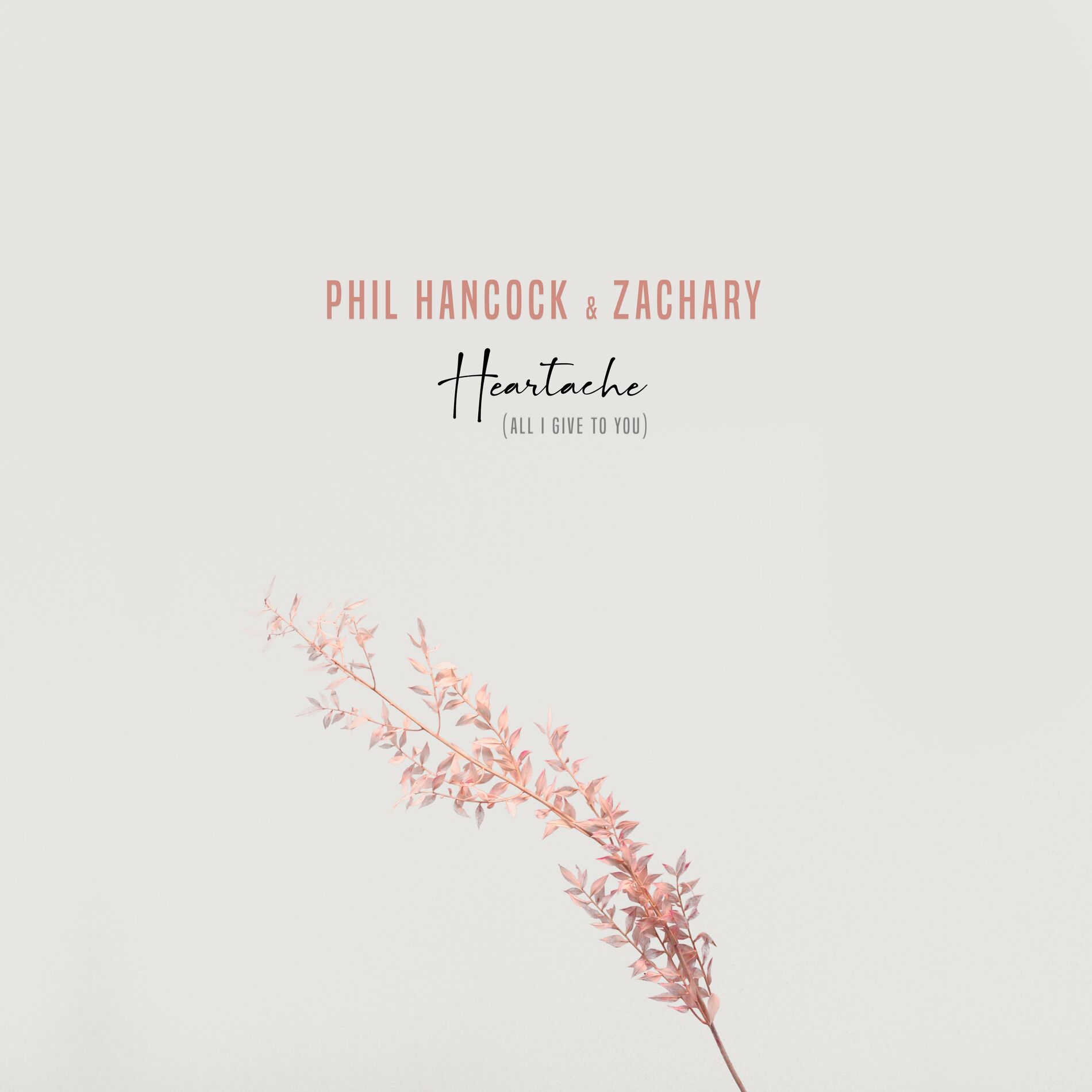 Album cover of Heartache (All I Give To You)
